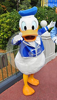 Donald Duck in Disney World