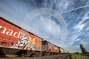 Donald Duck in Rail Car Graffiti