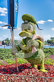 Donald Duck topiary display figure on display at Disney World