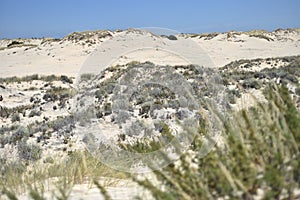 Donana National Park in Andalusia, Spain