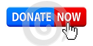 Donate now button