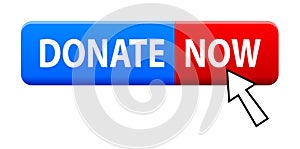 Donate now button