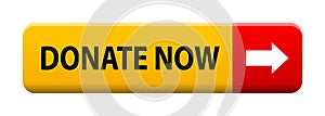 Donate now button