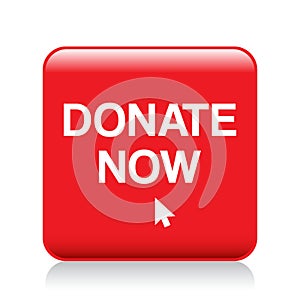 Donate now button