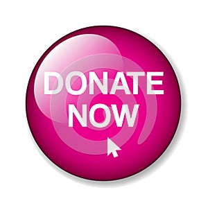 Donate now button