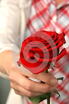 Donating a rose
