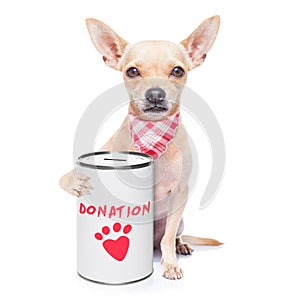 Donation dog