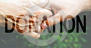 Donation Transparent Text Effect, old and young hands, red heart image cut, white background.