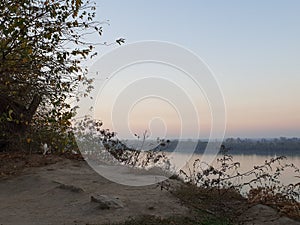 Donau River Sunset Serbia Cat