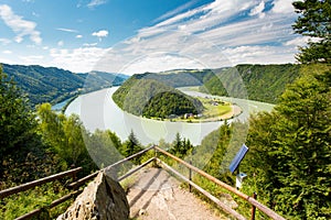 Donauschlinge, Austria