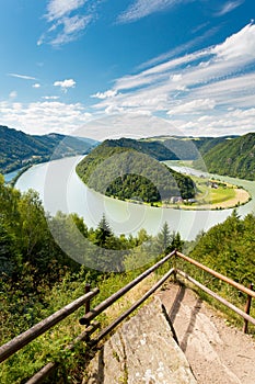 Donauschlinge, Austria