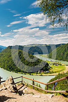 Donauschlinge, Austria