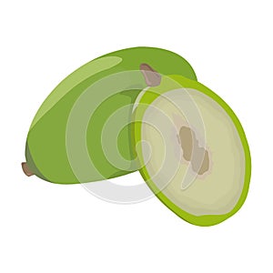 Dondong Fruit Vector