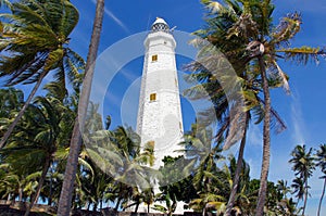 Dondra Lighthouse, Sri Lanka, behind the palm trees