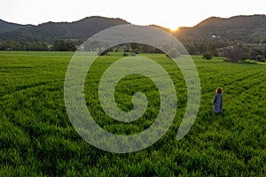 Done aerial view of a woman walking in the green meadow field enjoying sunset