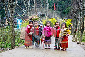 VAN, HA GIANG, VIETNAM, December 18th, 2017: Unidentified ethnic minority kids with baskets of rapeseed flower in Hagiang