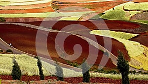 Dongchuan, Yunnan red land photo