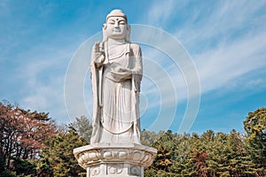 Donghwasa temple, buddha statue in Daegu, Korea