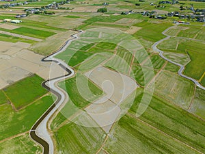 Dongshan rice meadow in Yilan of Taiwan