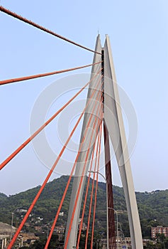 The dongshuimen cable-stayed bridge photo