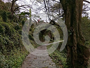 Dongxi town Chongqing China photo