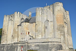 Donjon or Castle in Niort, France