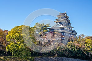 Donjon Tower tenshu of Okayama Castle in japan