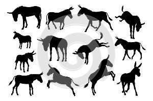 Donkey Animal Silhouettes Set