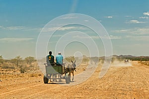 Donkey carriage with 2 men on a dusty dirt road in Namibia, Africa. Driving car with dust cloud in background and blue