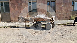 Donkey with a cart and cargo. On carts drawn by a donkey. Pet. A heavy yoke. Assistant for transporting cargo and bags. Like old