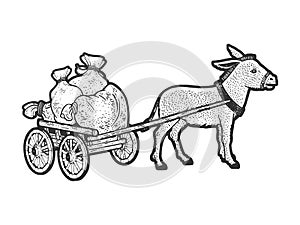 donkey with cart sketch vector illustration