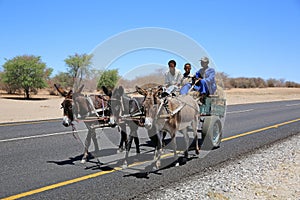 Donkey Cart