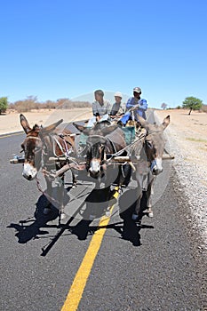 Donkey Cart