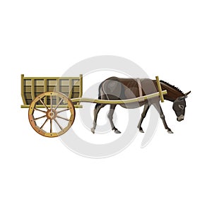 Donkey cart vector