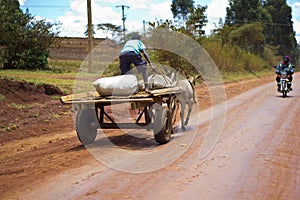 Donkey cart