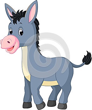 Donkey cartoon