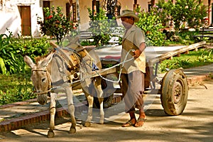 Donkey chariot, Mompos, Colombia