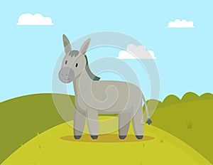 Donkey Farm Animal Graze on Meadow Colorful Banner