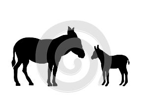 Donkey farm mammal black silhouette animal.