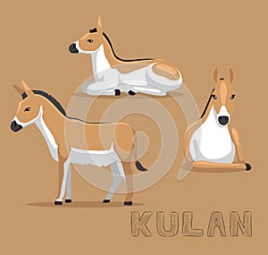 Donkey Kulan Cartoon Vector Illustration