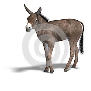 Donkey Render