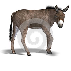 Donkey Render