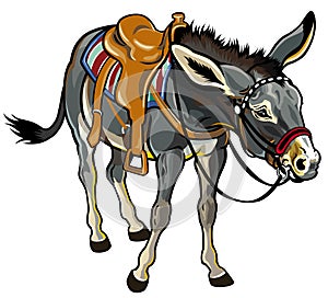 Donkey with saddle photo