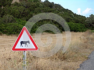 Donkey Sign in Karpaz