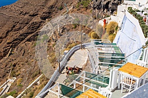 Donkey taxis in Fira on the Santorini Island