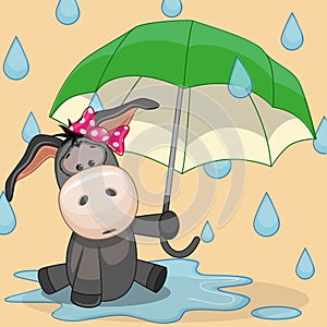 Donkey with umbrella