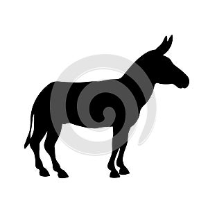 Donkey vector illustration black silhouette