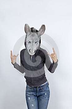 Donkey wearing a hoodies