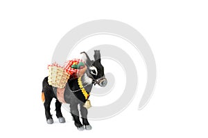 Donkey on white background