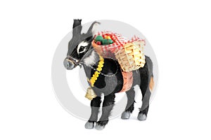 Donkey on white background